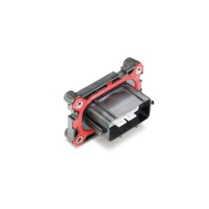 MG646089-5